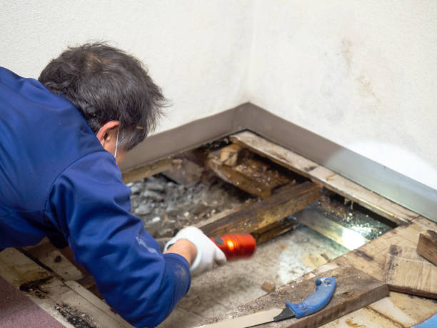 Crawl Space Mold Removal in Stallings, NC