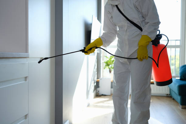 Best Residential Mold Removal  in Stallings, NC